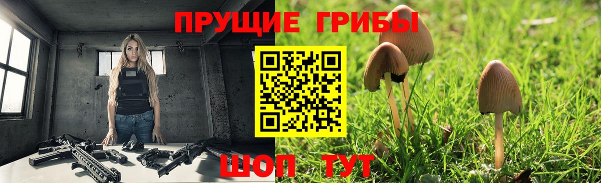 Галлюциногенные грибы ЛСД  Псилоцибиновые грибы GOLDEN TEACHER  Салехард  Вход с VPN 