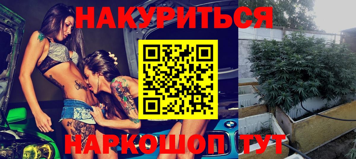 Канабис гибрид Салехард